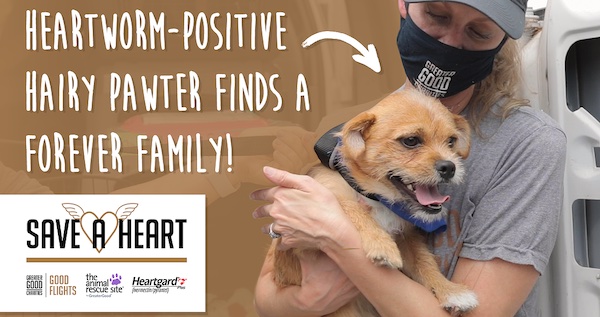 Saving Lives with Good Flights: Hairy Pawter’s Story